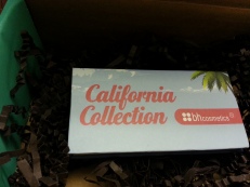 Bh Cosmetics California Collection Sample Palette 